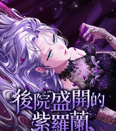 后院盛开的紫罗兰封面